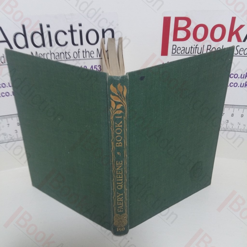 Spenser's Faery Queene : Book 1 (Kings Treasuries of Literature Series)