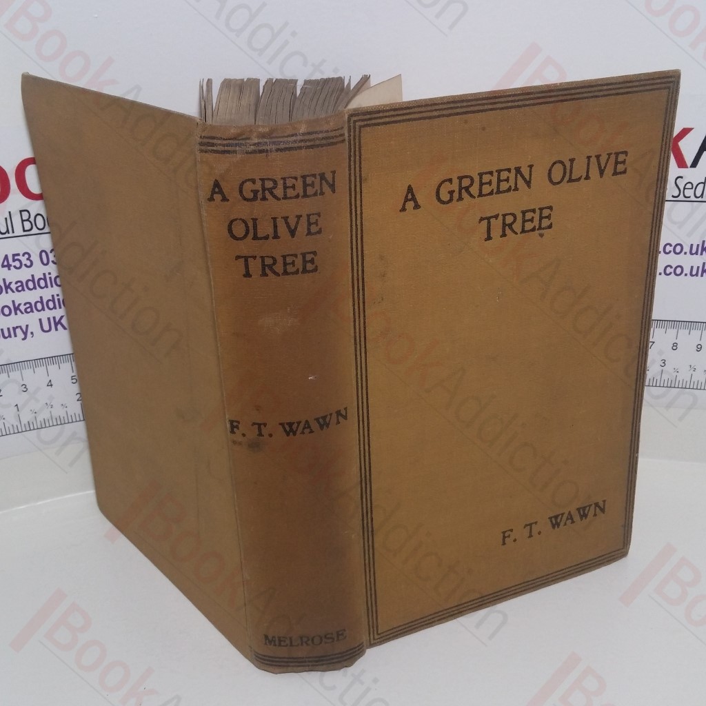 A Green Olive Tree