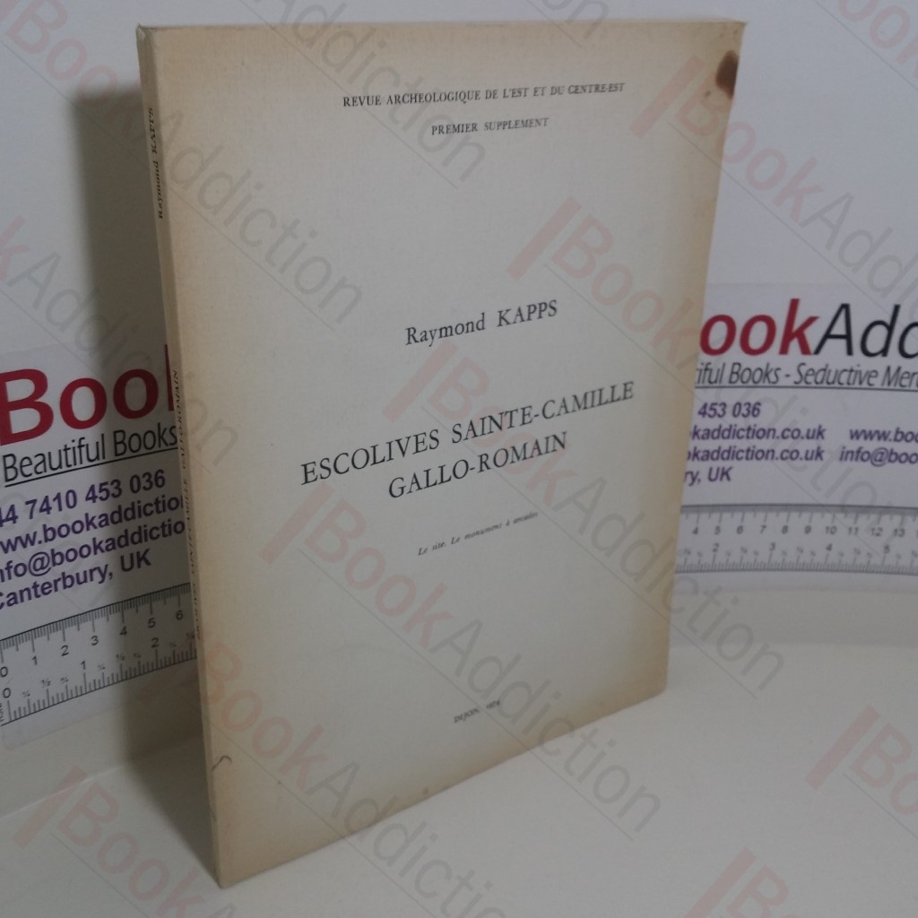 Escolives Sainte-Camille Gallo-Romain: Le Site, Le Monument à Arcades