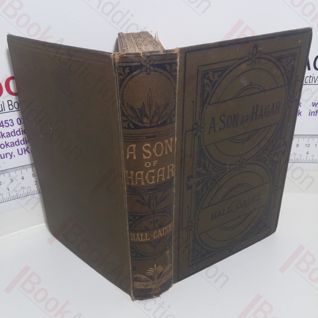 A Son of Hagar : A Romance of Our Time