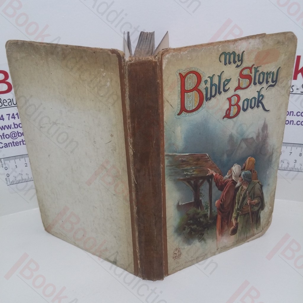 My Bible Story Book