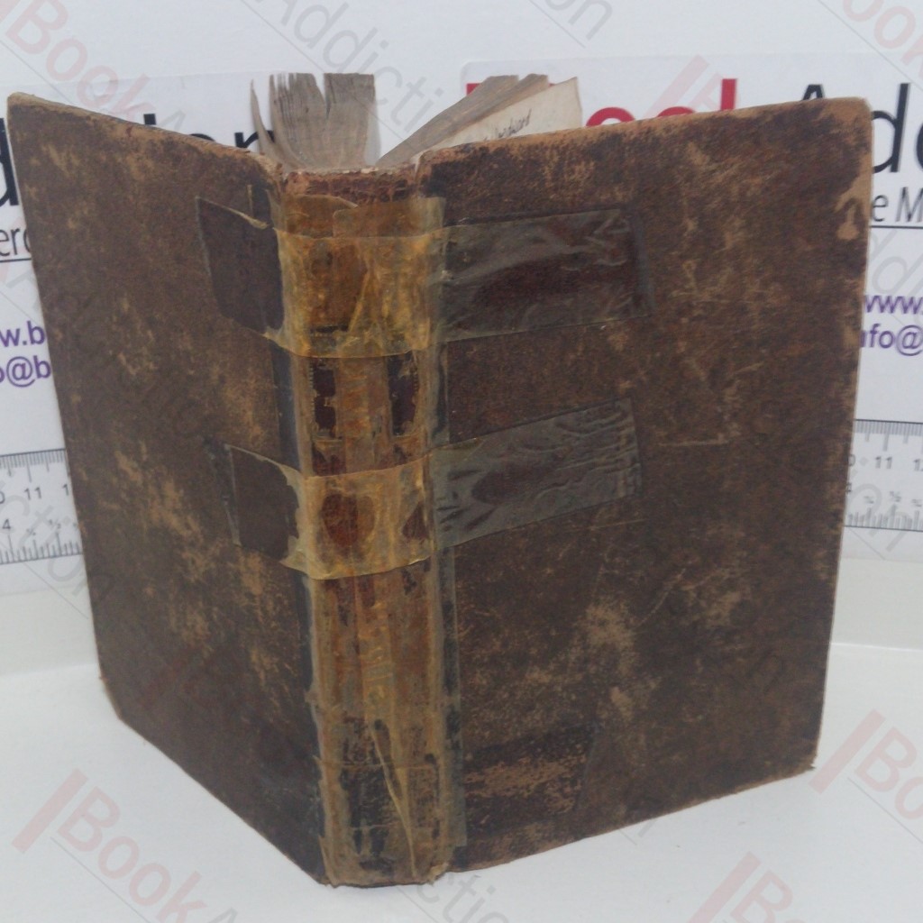 Letters of Madame du Montier, Collected by Madame Le Prince Le Beaumont, Translated from the French by Miss Newman (Volume II)