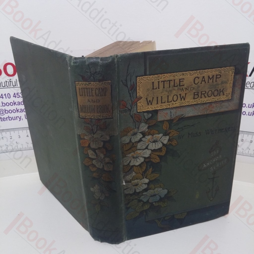 The Little Camp on Eagle Hill: Willow Brook (2 books in one volume)