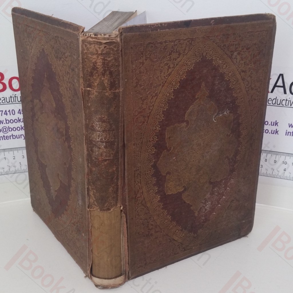 The Book of Job, With Fifty Engravings from Drawings by John Gilbert