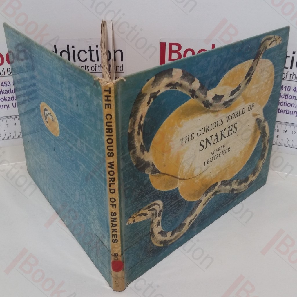 The Curious World of Snakes