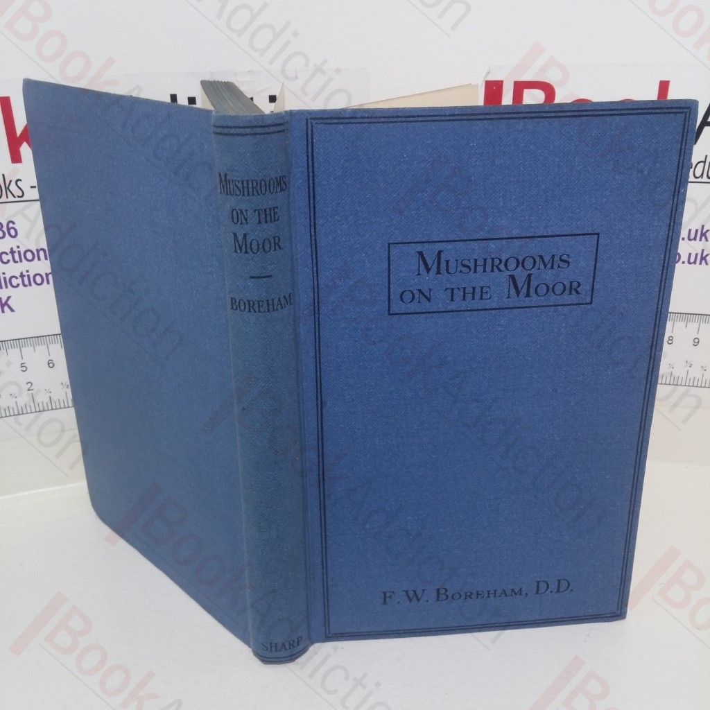 Mushrooms on the Moor