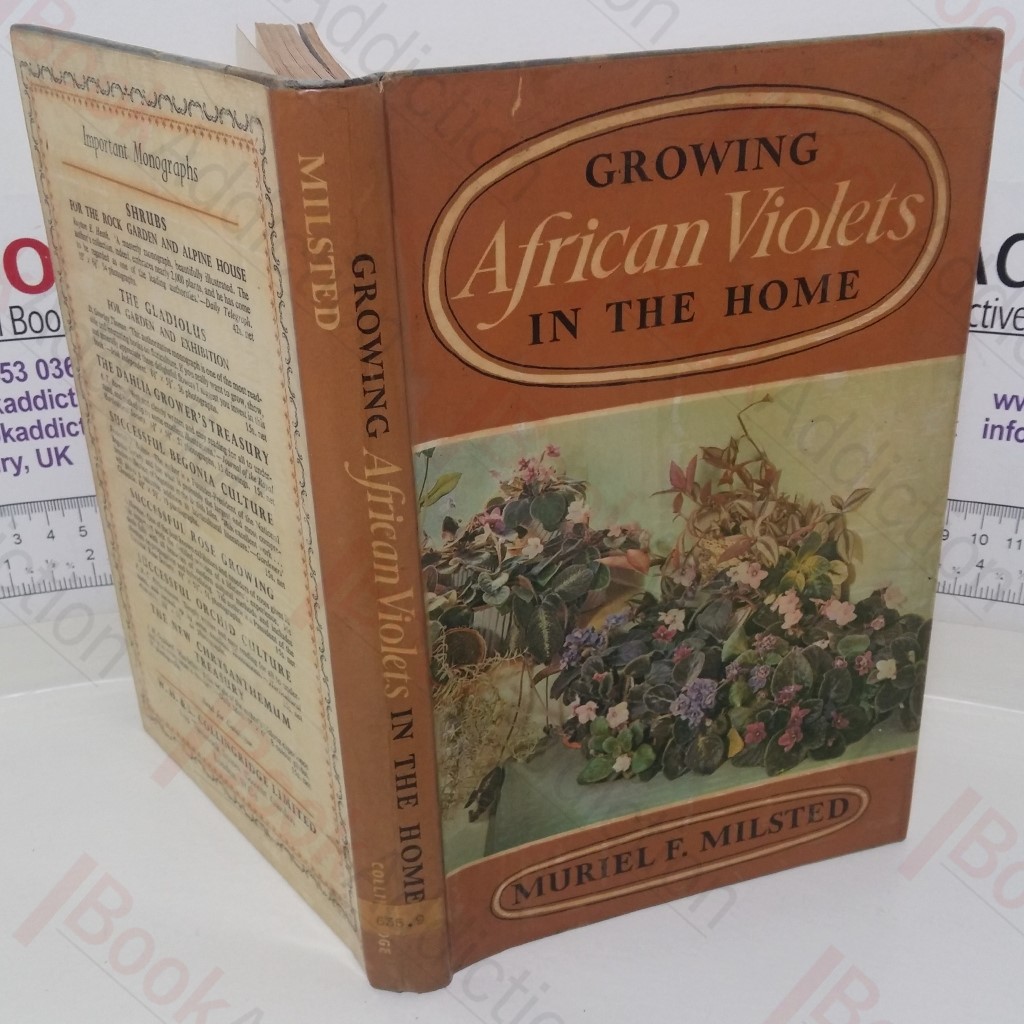 Growing African Violets in the Home