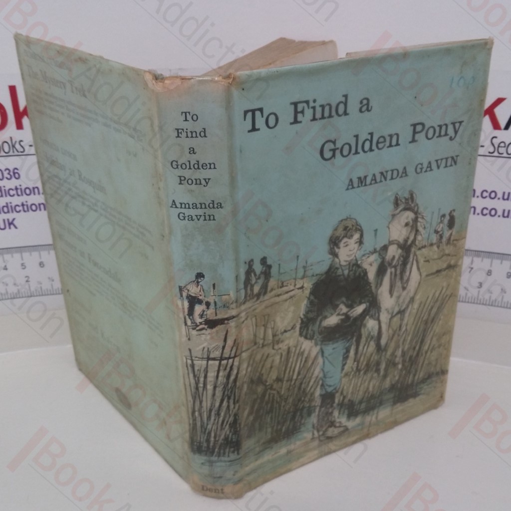 To Find a Golden Pony