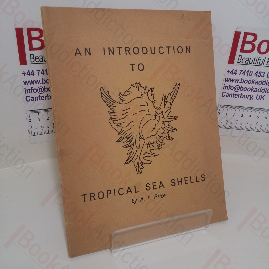 An Introduction to Tropical Sea Shells