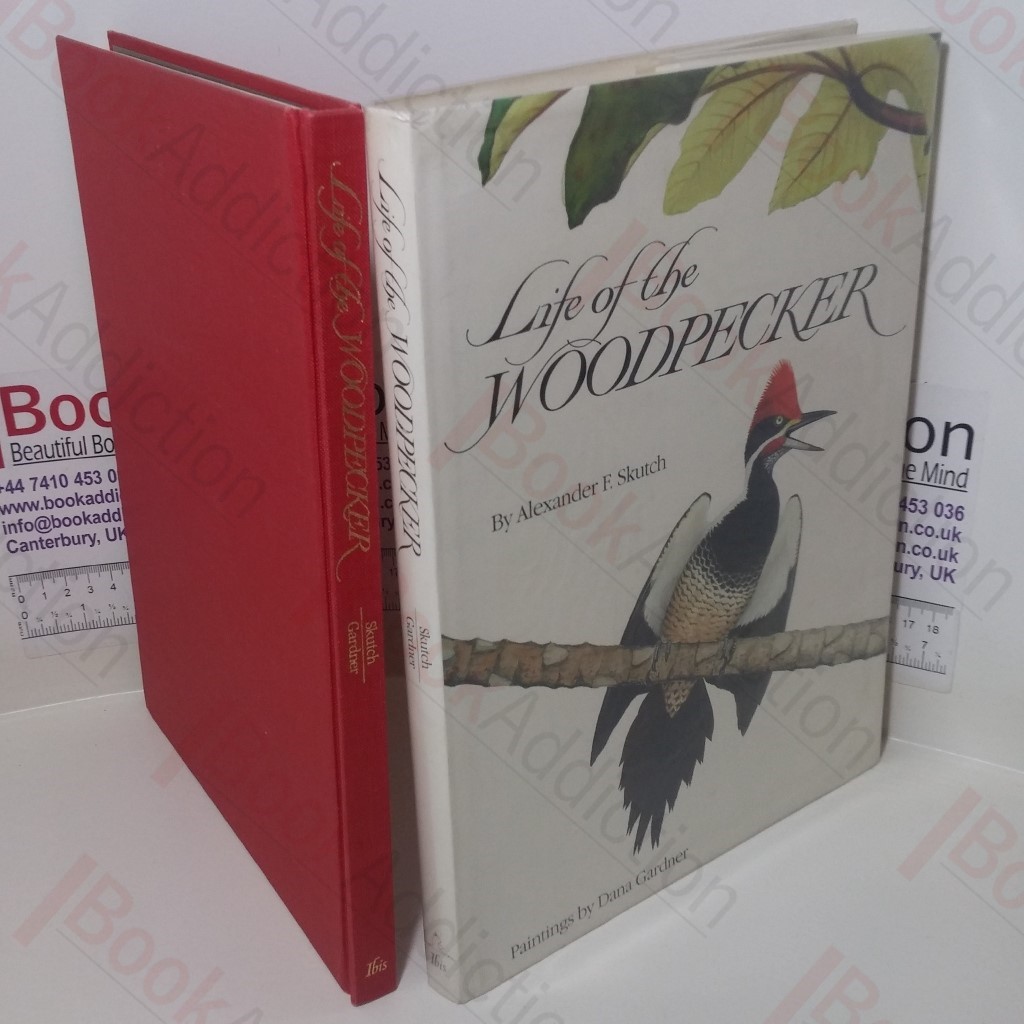 Life of the Woodpecker