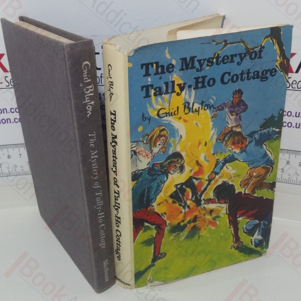 The Mystery of Tally-Ho Cottage, Being the Twelfth Adventure of the Five Find-Outers and Dog