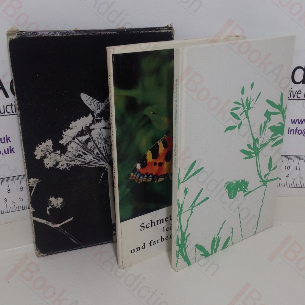 Schmetterlinge, leicht beschwingt und farbenfroh