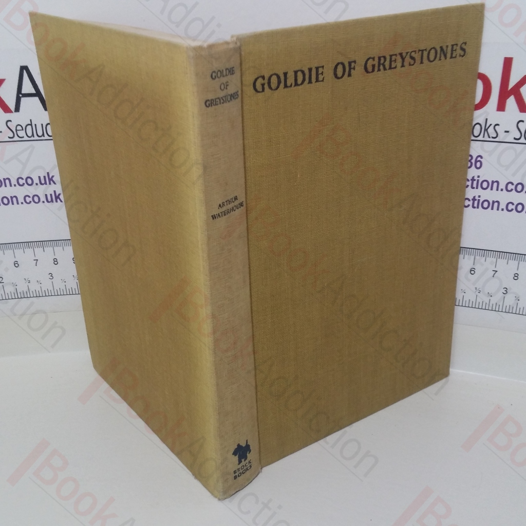 Goldie of Greystones: A Story of Two Friends