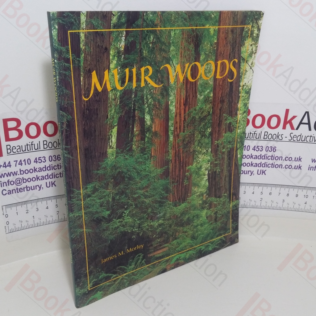 Muir Woods: The Ancient Redwood Forest Near San Francisco