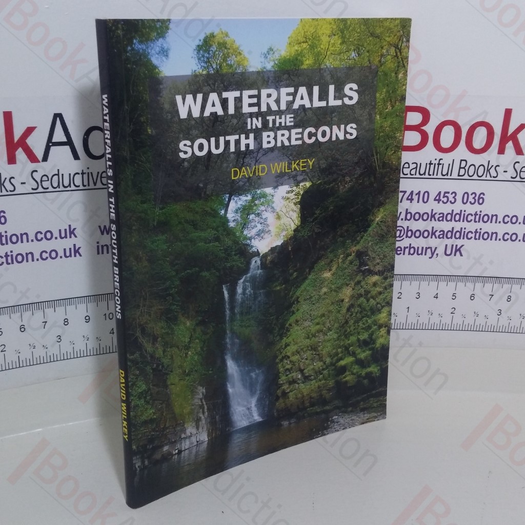 A Guide to the Purchase of Children's Ponies