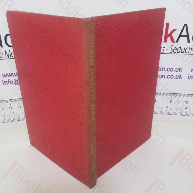 Tredici Novelle Moderne