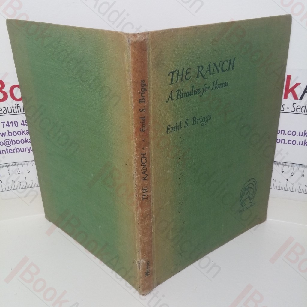 The Ranch: A Paradise for Horses