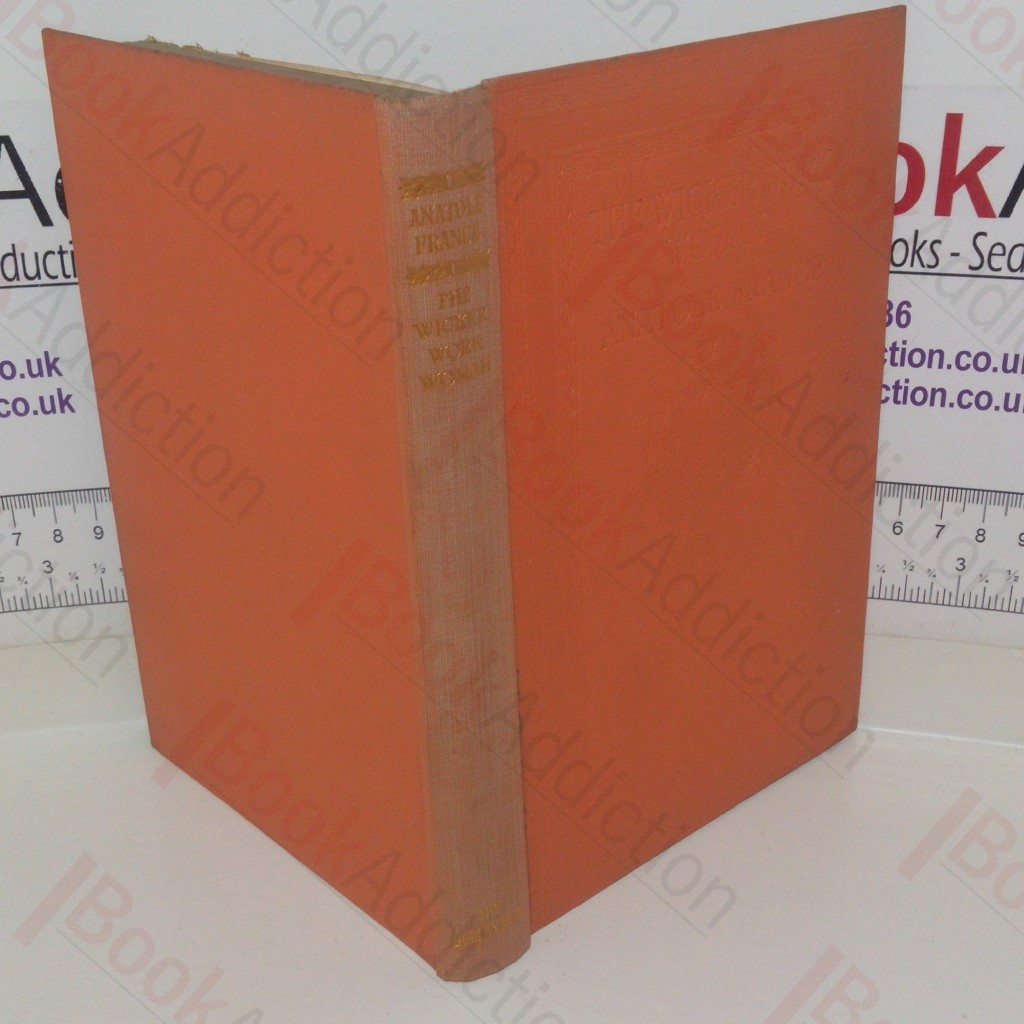 The Wicker Work Woman: A Chronicle of Our Own Times (Library edition)