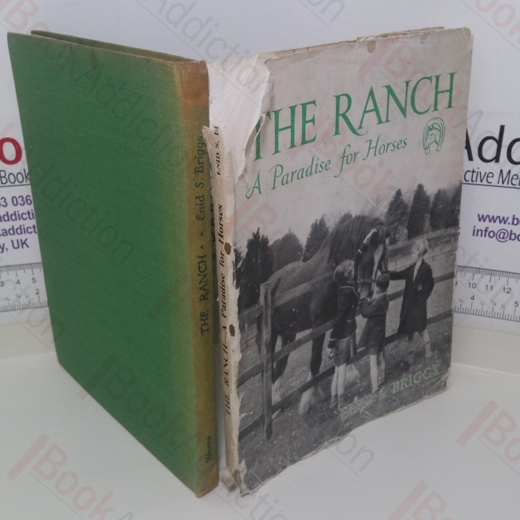 The Ranch: A Paradise for Horses