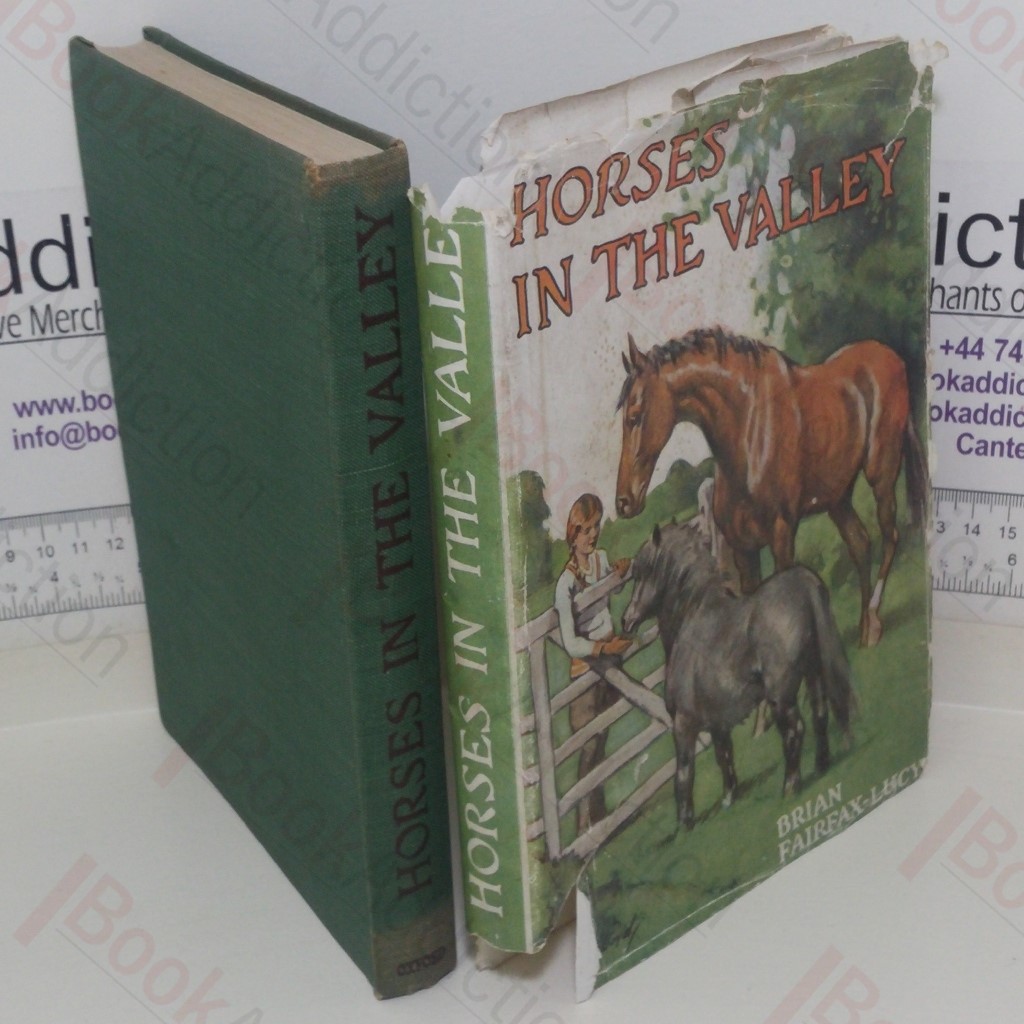 Horses in the Valley