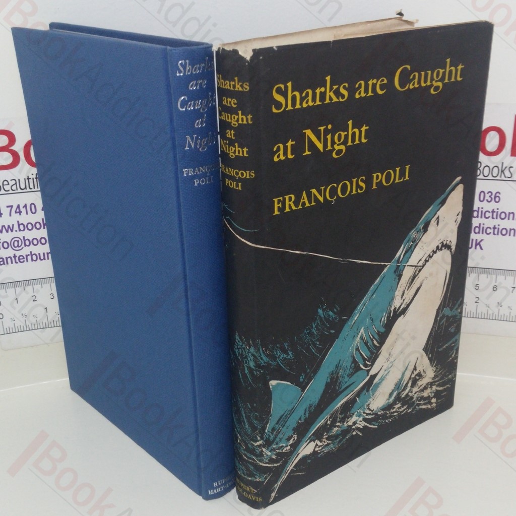 Sharks Are Caught at Night