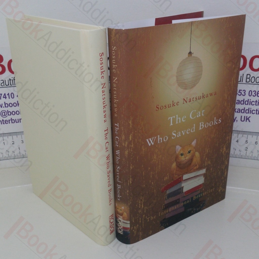 The Cat Who Saved Books