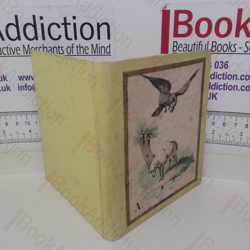 Illustrated A-Z Alphabet Book