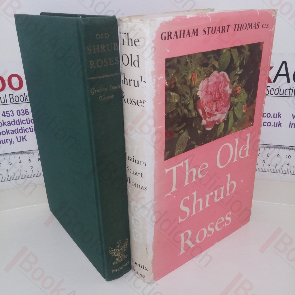 Old Shrub Roses