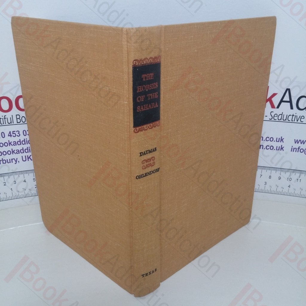 The Horses of the Sahara