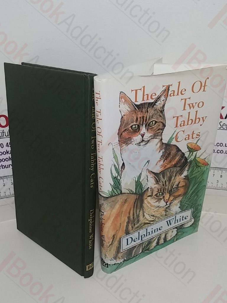 The Tale of Two Tabby Cats