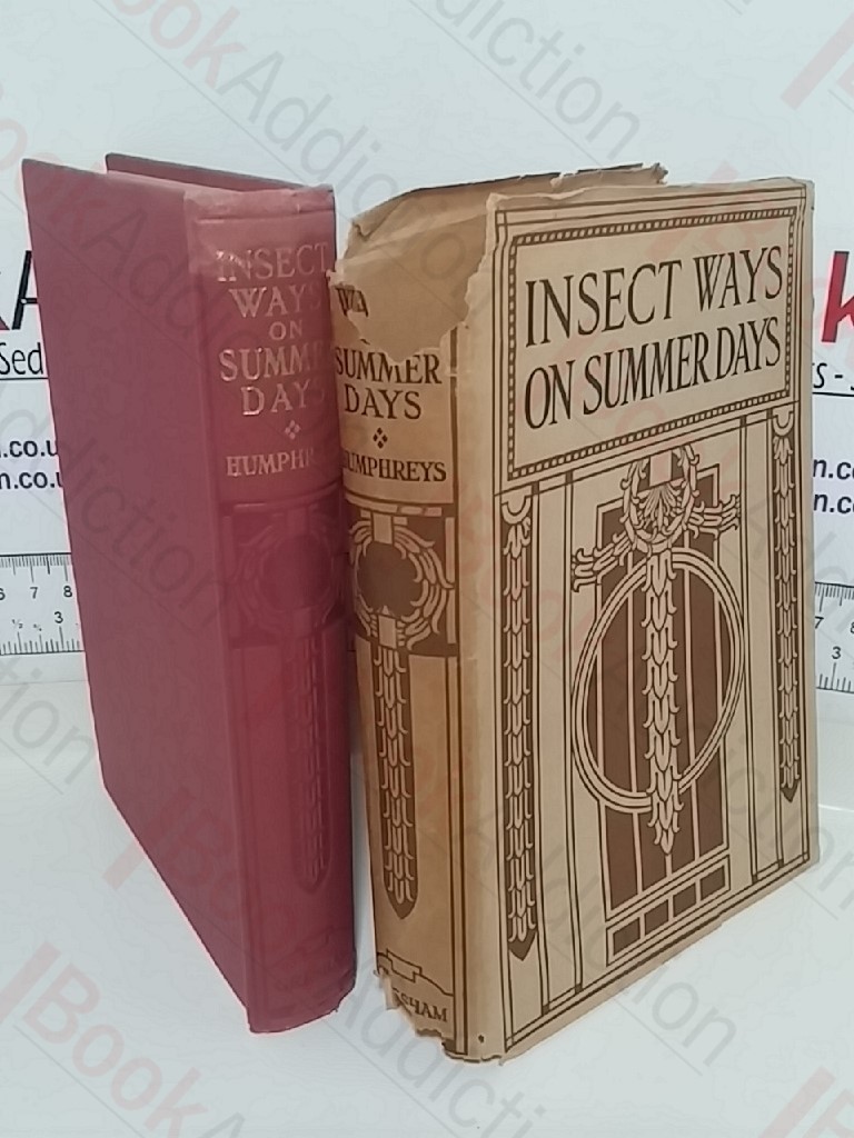 Insect Ways on Summer Days: In Garden, Forest, Field, and Stream