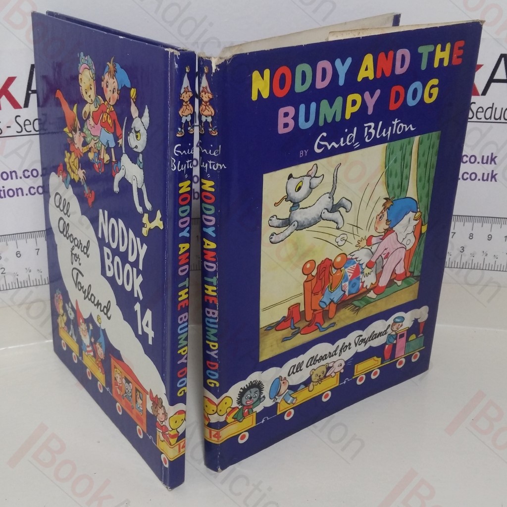 Noddy and the Bumpy Dog