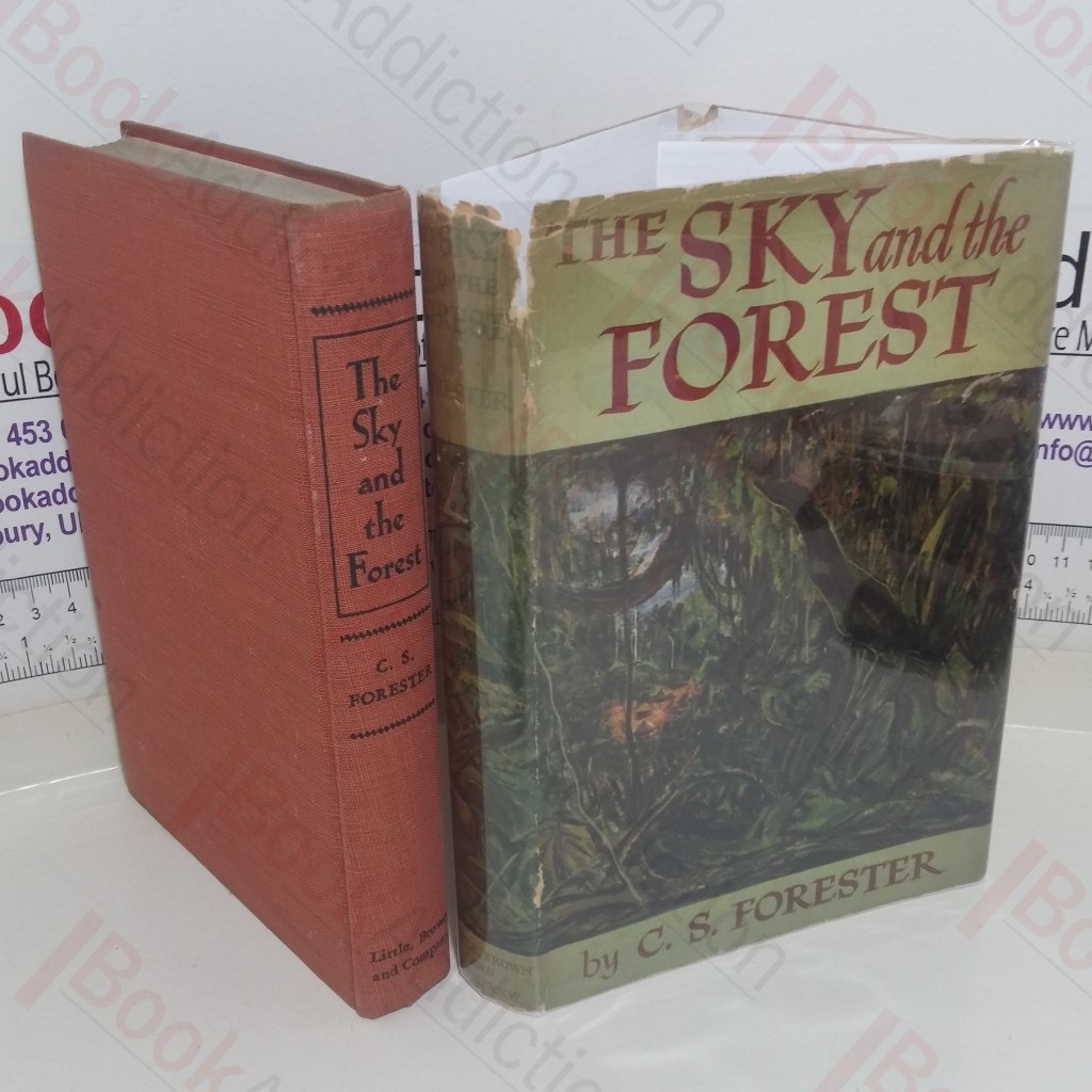 The Sky and the Forest