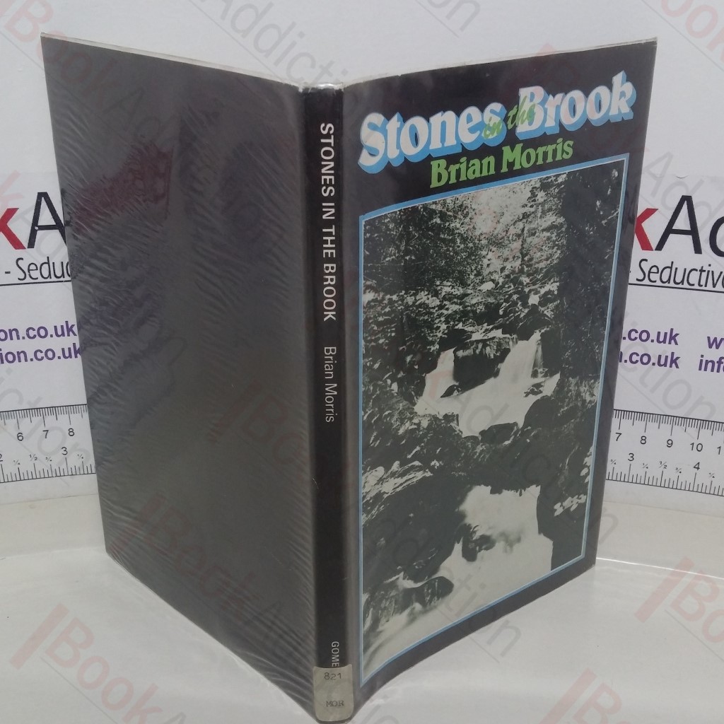 Stones in the Brook
