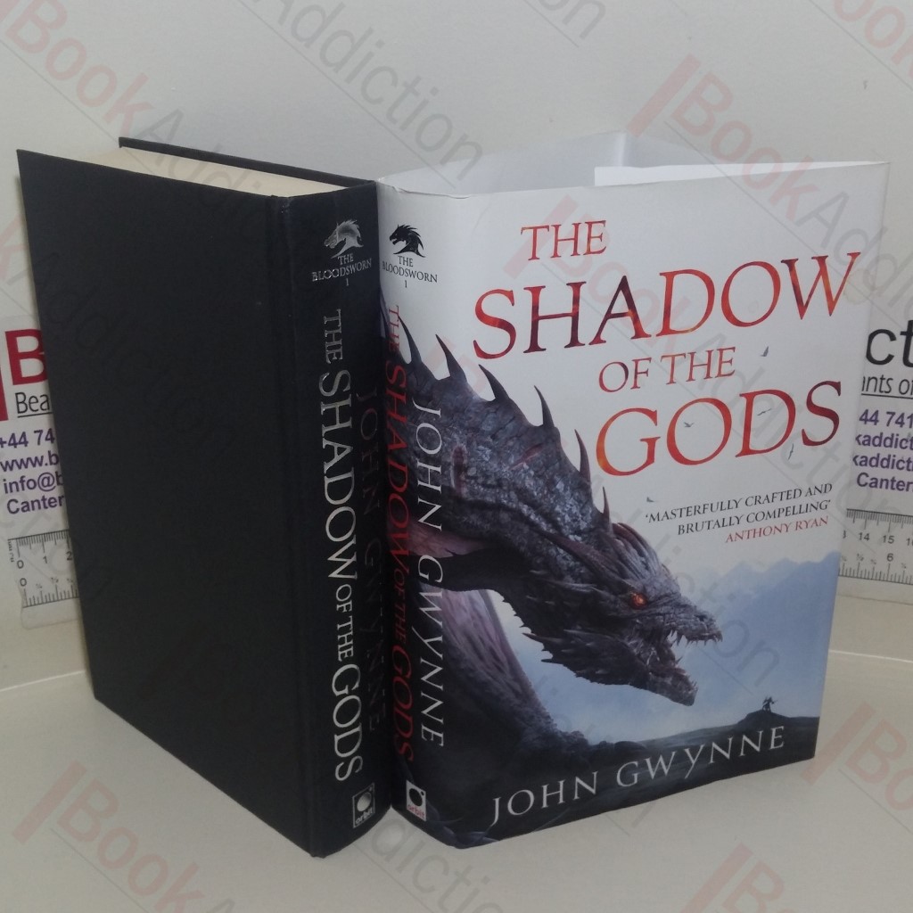 The Shadow of the Gods (The Bloodsworn Saga)