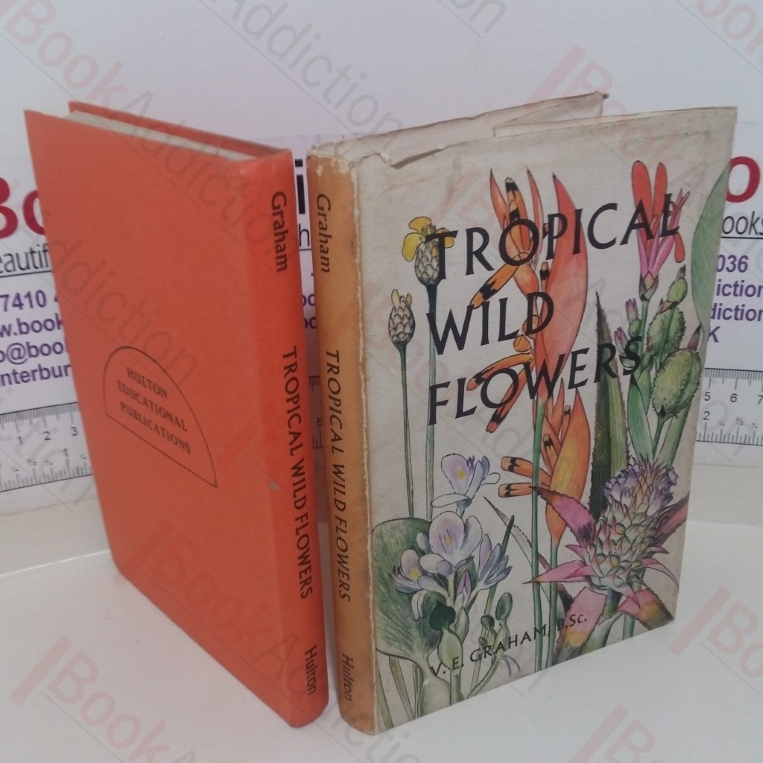 Tropical Wild Flowers