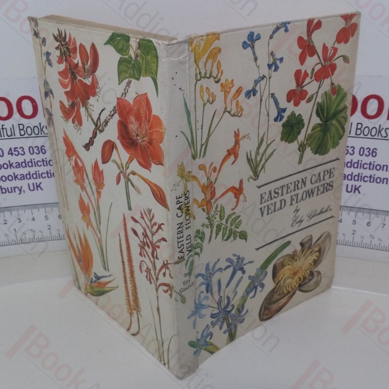 Eastern Cape Veld Flowers