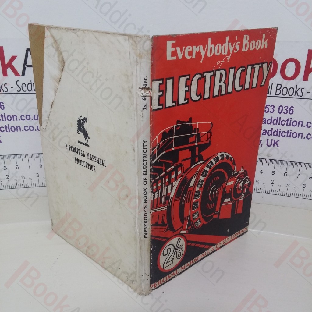 Everybody's Book of Electricity