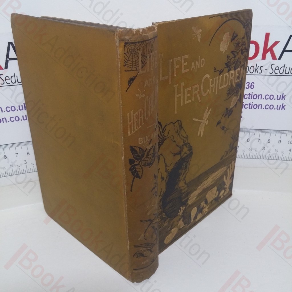 Life and Her Children: Glimpses of Animal Life From the Amoeba to the Insects