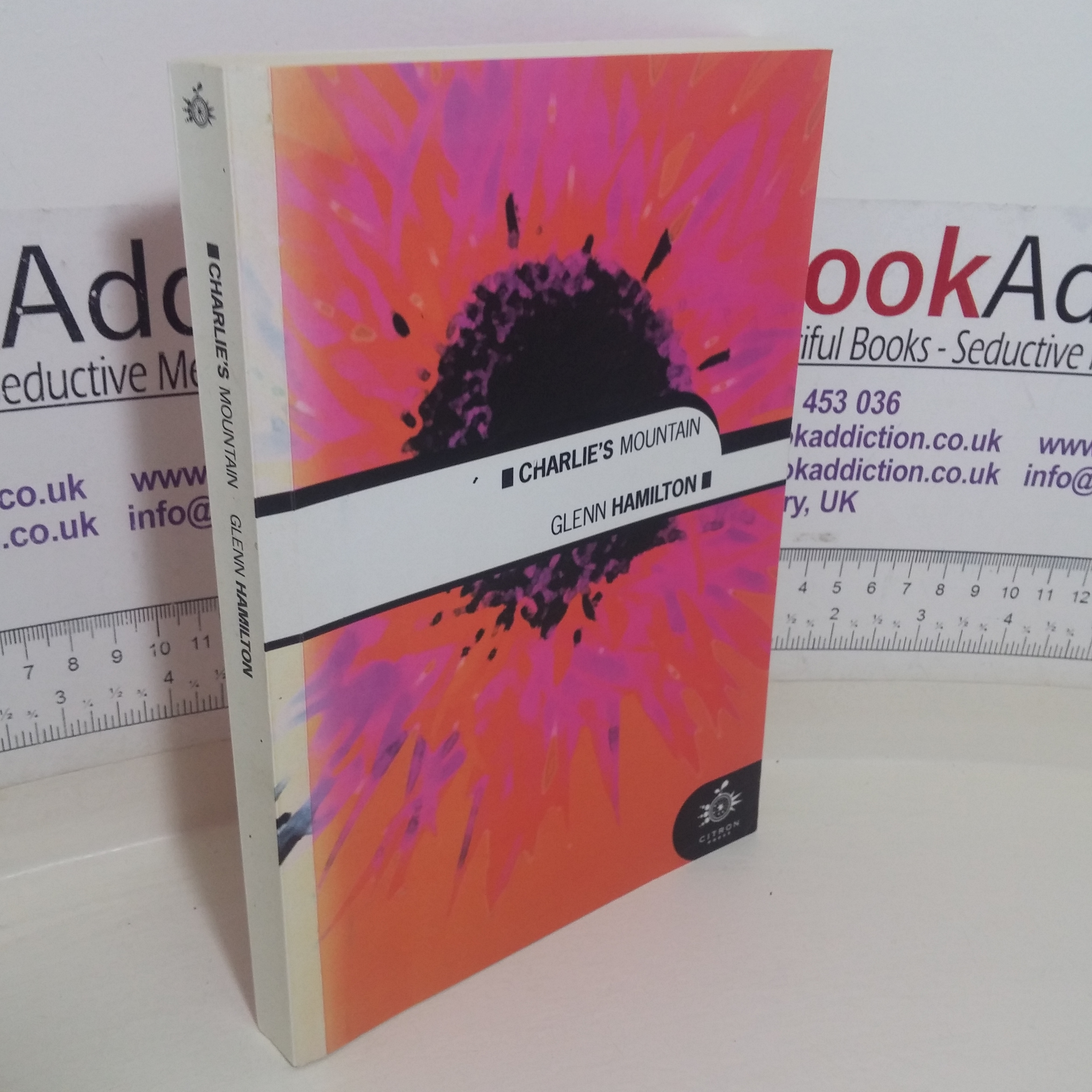 Charlie's Mountain (Signed and Inscribed)