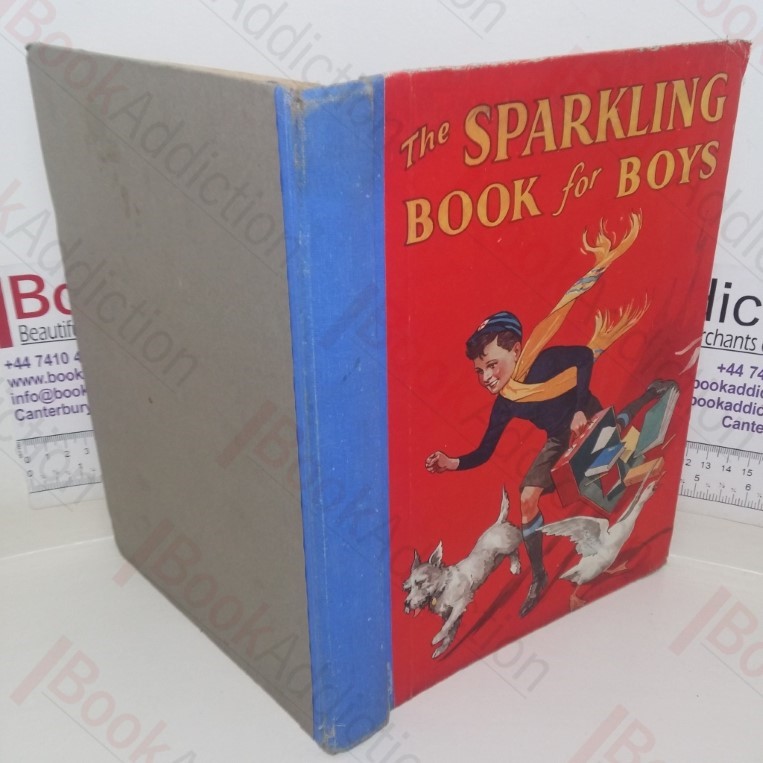 The Sparkling Book for Boys