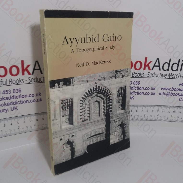 Ayyubid Cairo: A Topographical Study