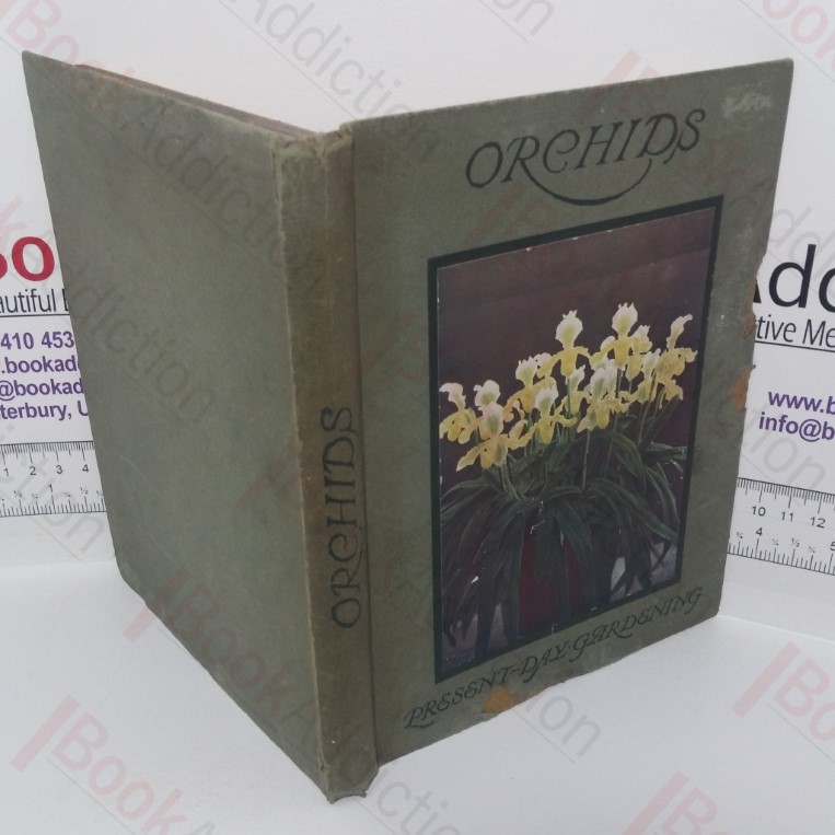 Orchids (Present-day Gardening)
