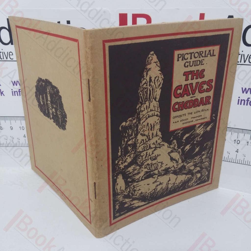 Pictorial Guide: The Cheddar Caves - Opposite the Lion Rock