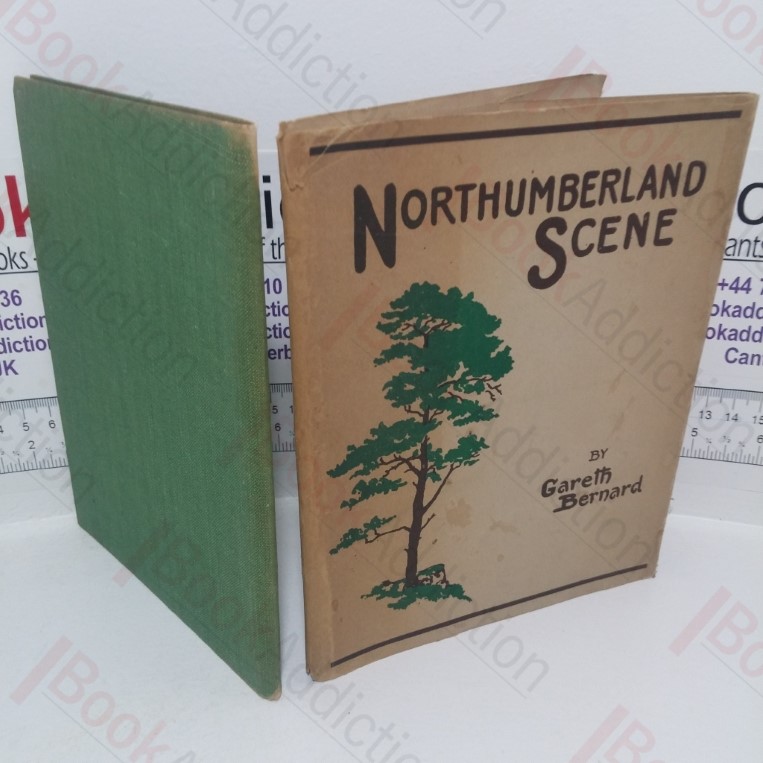 Northumberland Scene