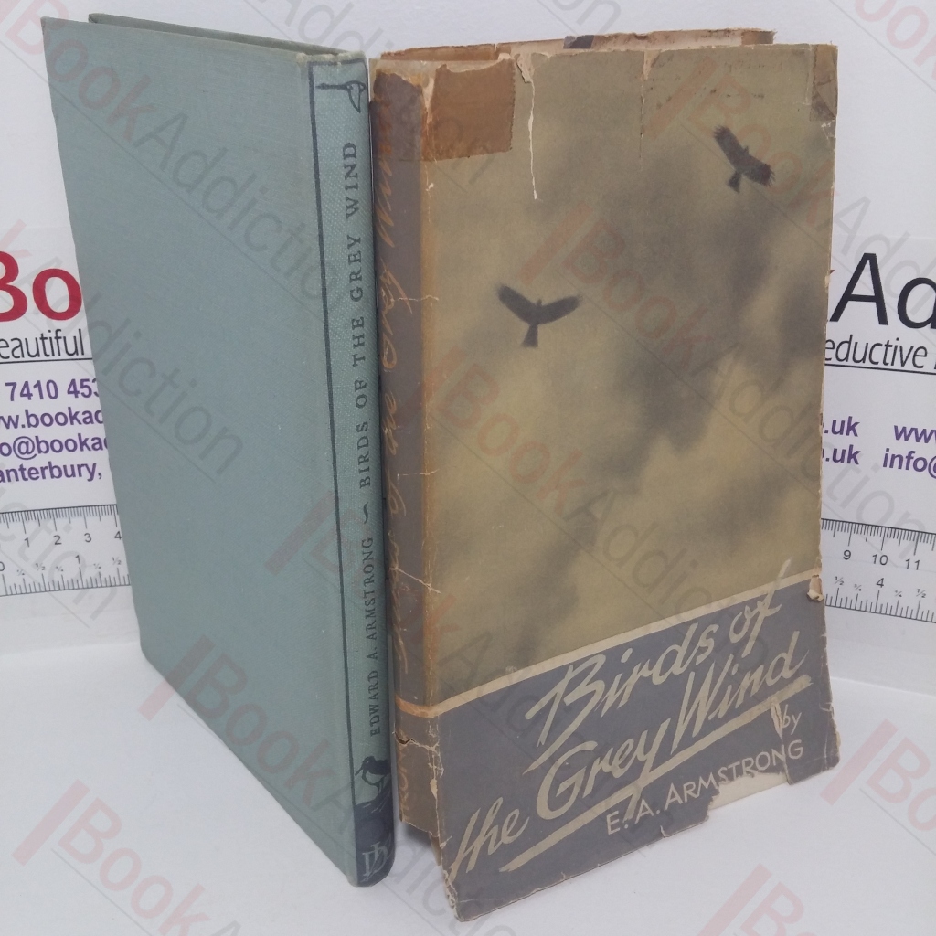 Birds of the Grey Wind