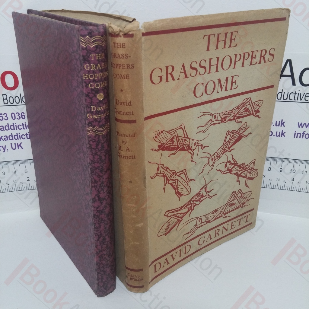 The Grasshoppers Come