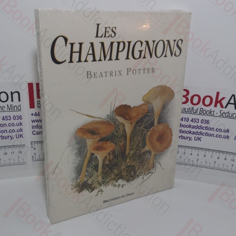 Les Champignons