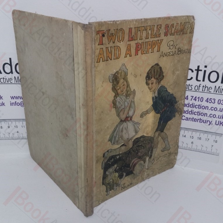 Two Little Scamps and a Puppy