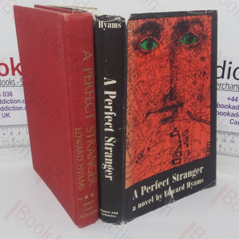 A Perfect Stranger: A Novel